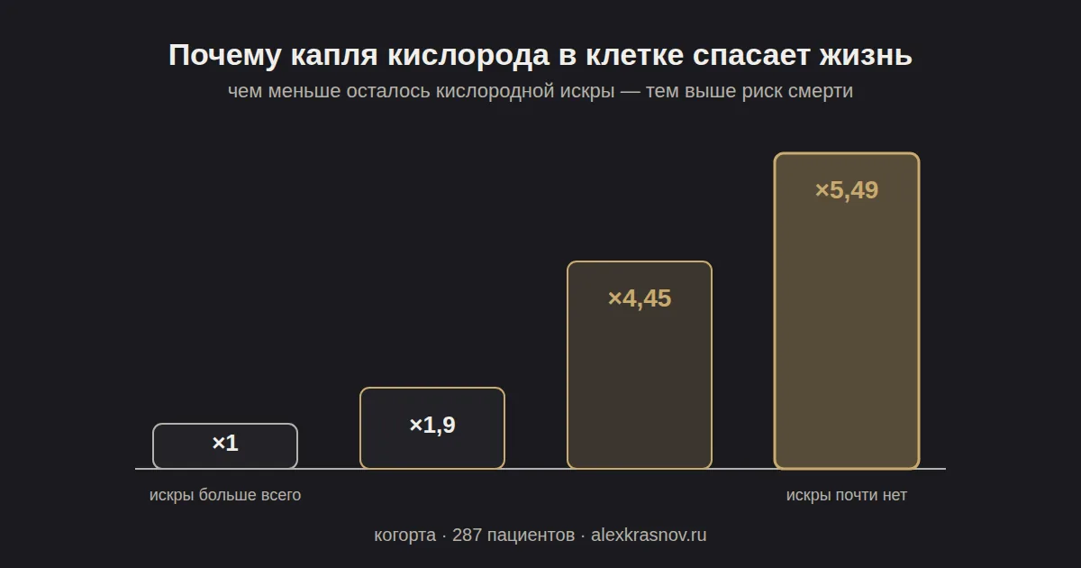 Столбчатая схема: у пациентов с ХГБ риск смерти растёт от ×1 до ×5,49 по мере снижения остаточной активности кислородного фермента NADPH-оксидазы в нейтрофилах