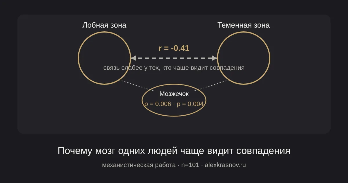 Схема: две зоны мозга — лобная и теменная — соединены линией связи с подписью r = -0.41, что означает более слабую связь у людей, часто видящих совпадения.